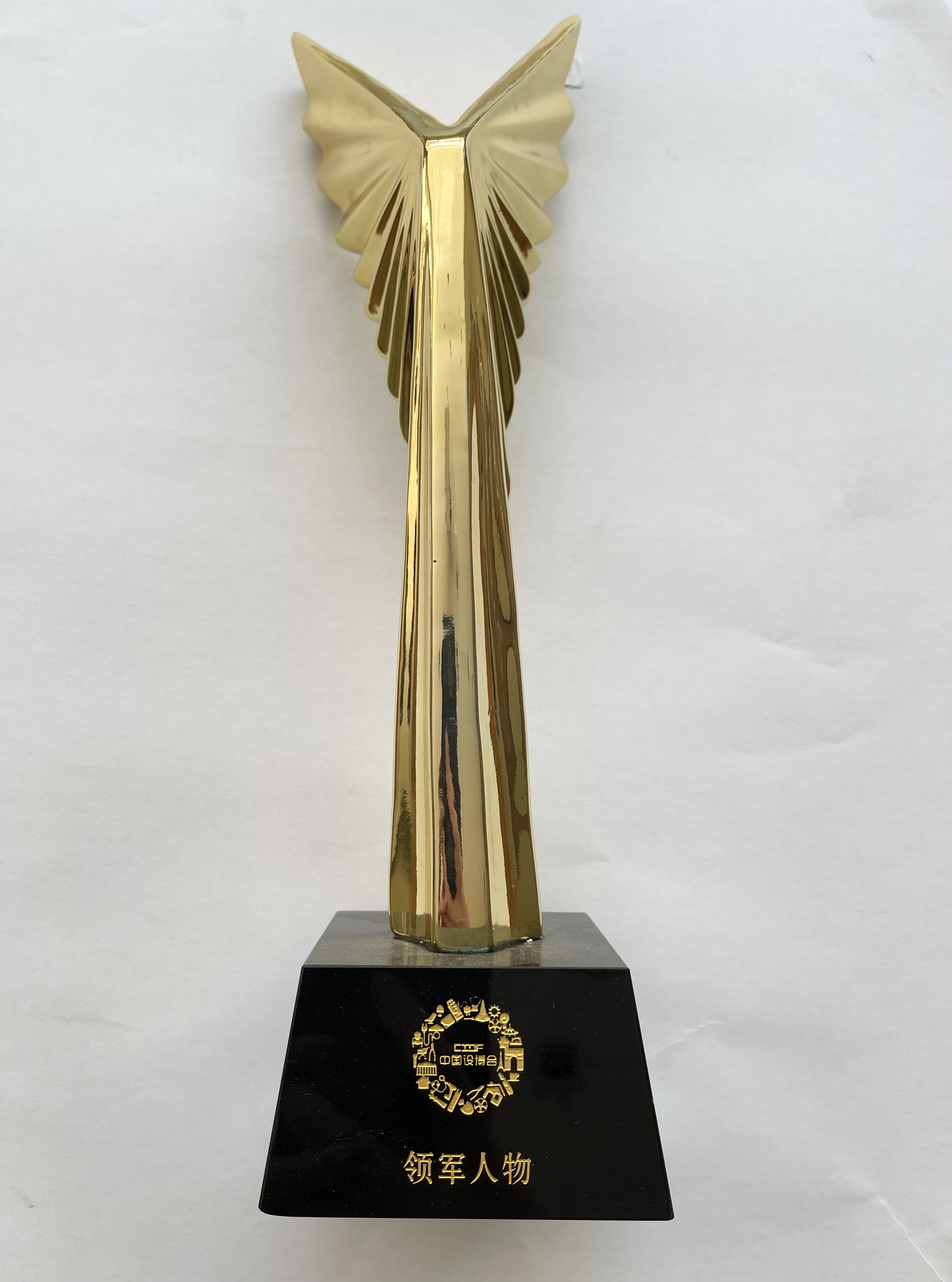 行业领军人物奖